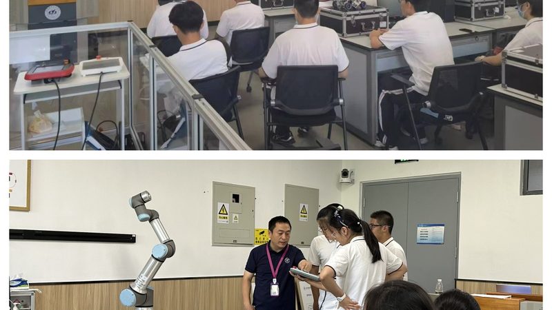 磁翻板液位计：揭秘其工作原理与应用场景**